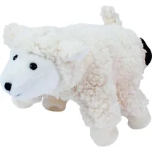 Beleduc Schaf