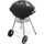 Fieldmann Holzkohlegrill schwarz