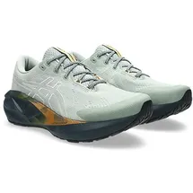 Asics Novablast 5 TR Herren Nature Bathing/Lichen Rock 47