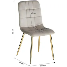 Homestyle4u Esszimmerstuhl Samt Beige/Grau 6er Set