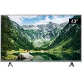 TX-43LSW504S 43" LED HD Android TV LSW504