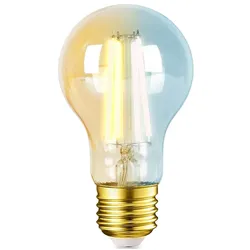 Aigostar E27 LED CCT Smart Wi-Fi Filament Retro Vintage Nostalgie Leuchtmittel dimmbar 2700-6500K A60 Ø 60mm 6 Watt