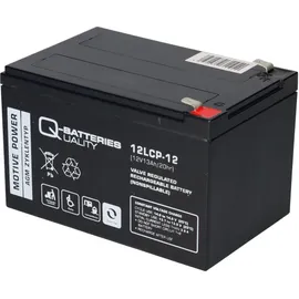 Q-Batteries Ersatz-Akku 12LCP-12 12V-13Ah f. elektrische Kehrmaschine Haaga 677 & 697 Profi-Line QB