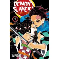 Diamond US Demon Slayer: Kimetsu no Yaiba, Vol. 1:
