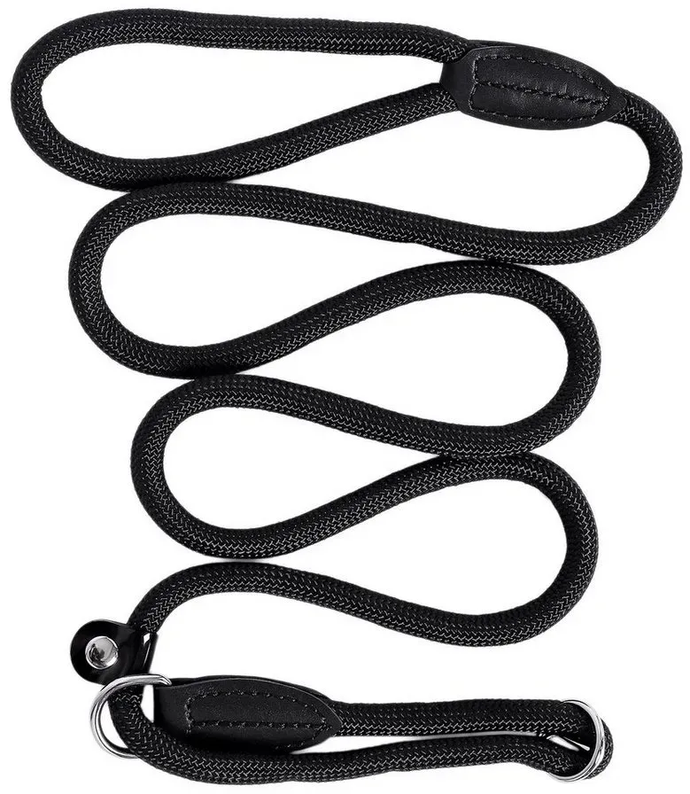 lionto Hundeleine Hundeleine mit Zugstopp, Retrieverleine, mit Zugbegrenzung, 170 cm, schwarz schwarz 170 m