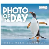 brown trout-auslieferer flechsig Photo of the Day – Foto des Tages 2026