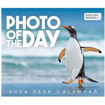 brown trout-auslieferer flechsig Photo of the Day – Foto des Tages 2026