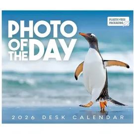 brown trout-auslieferer flechsig Photo of the Day – Foto des Tages 2026