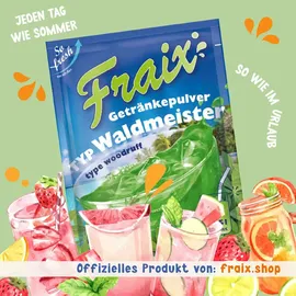 TSI Consumer Goods GmbH FRAIX Waldmeister 25 x 100g