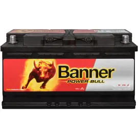 Banner Power Bull 100Ah 12V