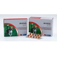 Selectavet Antinol für Hunde