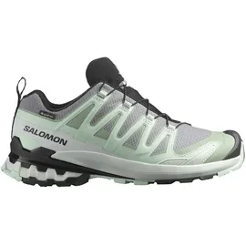 Salomon XA Pro 3D V9 GTX Damen Quiet Shade/Lily Pad/Blue Haze 40 2/3