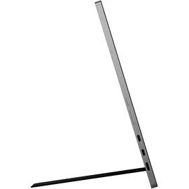 LG gram +view 43,2cm (17") 16:10 IPS WQXGA Monitor USB-C 350cd/m2 17MT70.ASDWU