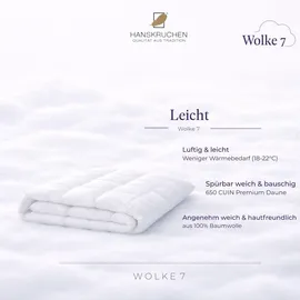 HANSKRUCHEN Hanskruchen, Wolke 7 (490 g, Daune, 135 x 200 cm