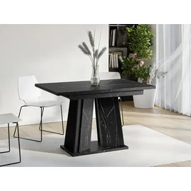 Mirjan24 Esstisch, Schwarz, Holzwerkstoff, Marmor Optik, Rechteckig,Rechteckig, 120x75x80 cm Esszimmer, Tische, Esstische