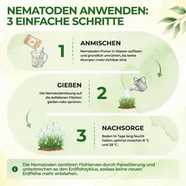 green guardia Super SF-Nematoden gegen Erdflöhe 2 Mio. für 4 m2