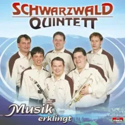 Musik Erklingt