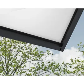 CANOPIA Palram - Canopia Vordach Sophia XL 192 cm x 140 cm Grau