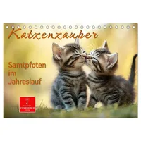 Calvendo Katzenzauber - Samtpfoten im Jahreslauf (Tischkalender 2026 DIN