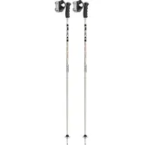 Leki Detect S Skistöcke (Größe 110CM, grau)