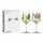 Ritzenhoff & Breker Sommertau Cocktailglas 0,544 l 2 St.