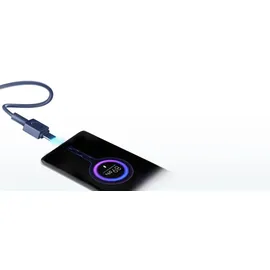 Xiaomi PB2030MI Powerbank 33W 20000mAh blue - 20000 mAh