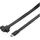 Renkforce USB-C 0,25 m Schwarz