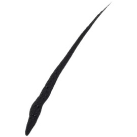 Maybelline Master Ink Matte Waterproof Eyeliner
