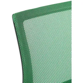 CLP Freischwinger Eureka Polyester grün 2er Set
