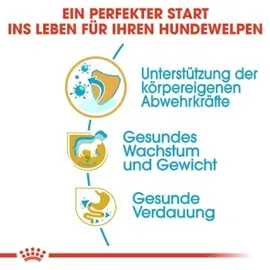 Royal Canin Labrador Retriever Junior 12 kg