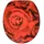 Sanilo WC-Sitz Rosen rot