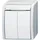 Busch-Jaeger Doppeltaster 2621 WN-54-205-101