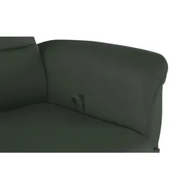 HIMOLLA Ledersofa 6001 ¦ grün ¦ Maße (cm): B: 173 H: 102 T: 86.0