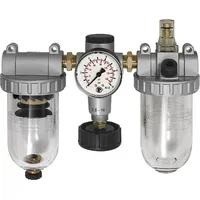 Riegler Wartungseinheit 3-tlg. »Standard«, mit PC-Behälter, BG 3, G