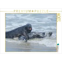 Calvendo Robben Liebe 1000 Teile Puzzle quer