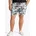 Chinoshorts 46 Chinoshorts