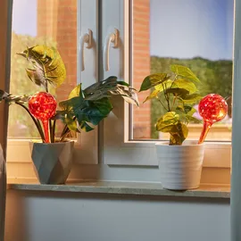 Relaxdays Bewässerungskugeln Glas 4er Set H 30 x D 9 cm rot