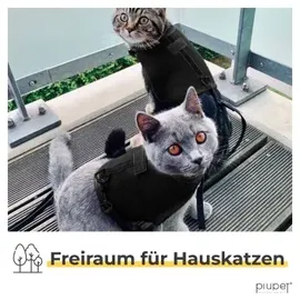 PiuPet PiuPet® Katzengeschirr Fritz schwarz M