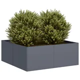 vidaXL Pflanzkübel 80 x 80 x 30 cm Anthrazit