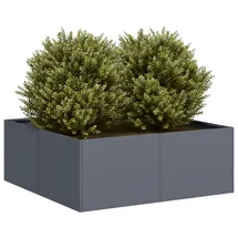 vidaXL Pflanzkübel 80 x 80 x 30 cm Anthrazit