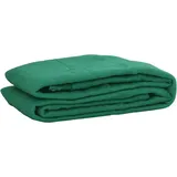 Anhängernetz Grün 4x8 M Hdpe