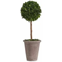 Loberon LOBERON® Deko-Baum Aube, Buchsbaum, Weide, H/Ø ca. 46/15