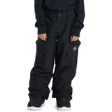 DC Shoes Banshee Schneehose Schwarz 8 Jahre