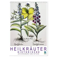 Calvendo Heilkräuter: Historische Zeichnungen und Stiche (Wandkalender 2026 DIN