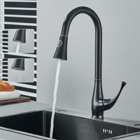 Schwarz Küchenarmatur Ausziehbar Brause Mischbatterie Wasserhahn Küche Armatur