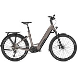 Kalkhoff Entice 7.B Move+ 2022 27,5 Zoll RH 43 cm Damen moonstone grey matt