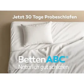 Betten-ABC Max NV MZV Lattenrost zur Selbstmontage mit 28 Leisten, durchgehender Holm, SÜD GS, Größe: 120x200