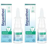 Bayer Bepanthen Meerwasser Nasenspray 100 ml