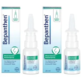Bayer Bepanthen Meerwasser Nasenspray 100 ml