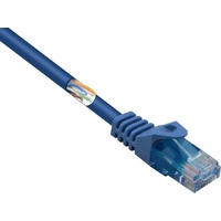 Renkforce RF-5043860 Netzwerkkabel Blau 1 m Cat5e U/UTP (UTP)